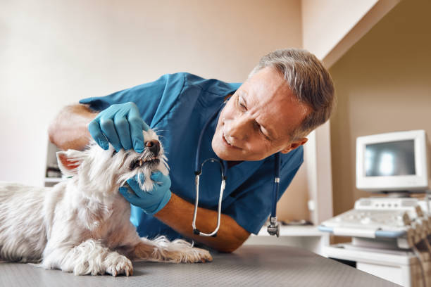 Best Emergency Tooth Extraction in Carlyle, IL